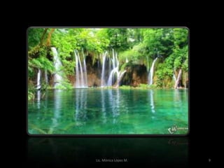 Lic. Mónica López M.   9
 