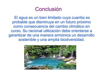Conclusión
   El agua es un bien limitado cuya cuantía es
  probable que disminuya en un futuro próximo
  como consecuencia del cambio climático en
 curso. Su racional utilización debe orientarse a
garantizar de una manera armónica un desarrollo
      sostenible y una amplia biodiversidad.
 