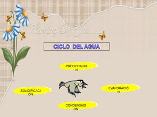.
PRECIPITACIO
N
EVAPORACIÓ
N
CONDENSACI
ON
SOLIDIFICACI
ÓN