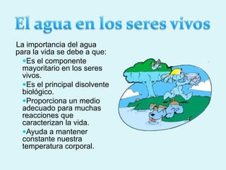 La importancia del agua
para la vida se debe a que:
Es el componente
mayoritario en los seres
vivos.
Es el principal disolvente
biológico.
Proporciona un medio
adecuado para muchas
reacciones que
caracterizan la vida.
Ayuda a mantener
constante nuestra
temperatura corporal.
 
