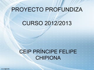PROYECTO PROFUNDIZA
CURSO 2012/2013
CEIP PRÍNCIPE FELIPE
CHIPIONA
 