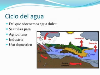 Ciclo del agua
Del que obtenemos agua dulce:
Se utiliza para .
Agricultura
Industria
Uso domestico