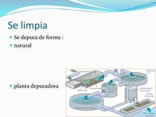 Se limpia
 Se depura de forma :
 natural
 planta depuradora
 