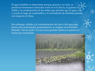 El agua también es importante porque gracias a su ciclo, se
producen fenómenos naturales como lo es la lluvia, el granizo, la
niebla y la condensación de las nubes que permite que el agua viaje
y ayude al riego de sembradíos y el crecimiento de distintas plantas
con respecto al clima.
Sin embargo, debido a la contaminación del aire y del agua que
hemos ido aumentando gradualmente, se origina un fenómeno
llamado “lluvia ácida” la cual causa grandes daños en quienes la
toman por necesidad.
 