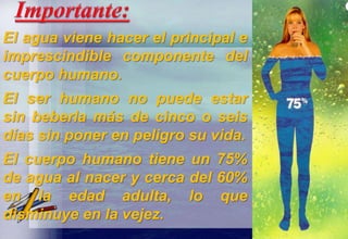 El agua viene hacer el principal e
imprescindible componente del
cuerpo humano.
El ser humano no puede estar
sin beberla más de cinco o seis
días sin poner en peligro su vida.
El cuerpo humano tiene un 75%
de agua al nacer y cerca del 60%
en la edad adulta, lo que
disminuye en la vejez.
 
