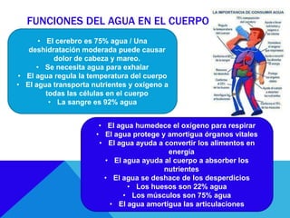 FUNCIONES DEL AGUA EN EL CUERPO
• El cerebro es 75% agua / Una
deshidratación moderada puede causar
dolor de cabeza y mareo.
• Se necesita agua para exhalar
• El agua regula la temperatura del cuerpo
• El agua transporta nutrientes y oxígeno a
todas las células en el cuerpo
• La sangre es 92% agua
• El agua humedece el oxígeno para respirar
• El agua protege y amortigua órganos vitales
• El agua ayuda a convertir los alimentos en
energía
• El agua ayuda al cuerpo a absorber los
nutrientes
• El agua se deshace de los desperdicios
• Los huesos son 22% agua
• Los músculos son 75% agua
• El agua amortigua las articulaciones
 