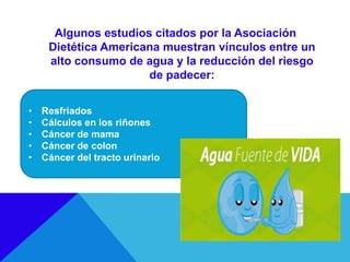 Algunos estudios citados por la Asociación
Dietética Americana muestran vínculos entre un
alto consumo de agua y la reducción del riesgo
de padecer:
• Resfriados
• Cálculos en los riñones
• Cáncer de mama
• Cáncer de colon
• Cáncer del tracto urinario
 