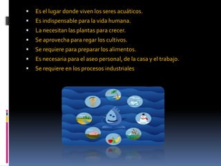  Es el lugar donde viven los seres acuáticos.
 Es indispensable para la vida humana.
 La necesitan las plantas para crecer.
 Se aprovecha para regar los cultivos.
 Se requiere para preparar los alimentos.
 Es necesaria para el aseo personal, de la casa y el trabajo.
 Se requiere en los procesos industriales
 