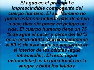 El agua es el principal e
imprescindible componente del
cuerpo humano. El ser humano no
puede estar sin beberla más de cinco
o seis días sin poner en peligro su
vida. El cuerpo humano tiene un 75
% de agua al nacer y cerca del 60 %
en la edad adulta. Aproximadamente
el 60 % de este agua se encuentra en
el interior de las células (agua
intracelular). El resto (agua
extracelular) es la que circula en la
sangre y baña los tejidos.
 