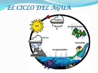 EL CICLO DEL AGUA

 