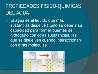 PROPIEDADES FISICO-QUIMICAS
DEL AGUA
 El agua es el líquido que más
sustancias disuelve ( Esto se debe a su
capacidad para formar puentes de
hidrogeno con otras susbtancias, las
que se disuelven cuando interaccionan
con otras moleculas
 