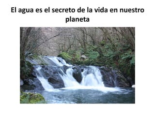 El agua es el secreto de la vida en nuestro
planeta
 