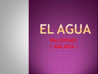 PALUDISMO 
( MALARIA ) 
 