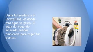 Llena la lavadora y el
lavavajillas, es donde
más agua se gasta. El
agua del segundo
aclarado puedes
emplearla para regar ...