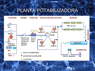 PLANTA POTABILIZADORAPLANTA POTABILIZADORA
 