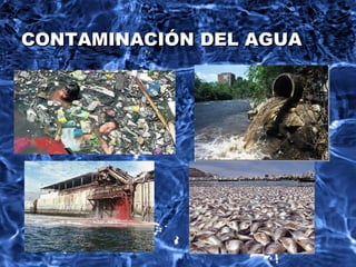 CONTAMINACIÓN DEL AGUACONTAMINACIÓN DEL AGUA
 