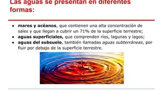 Las aguas se presentan en diferentes
formas:
● mares y océanos, que contienen una alta concentración de
sales y que llegan a cubrir un 71% de la superficie terrestre;
● aguas superficiales, que comprenden ríos, lagunas y lagos;
● aguas del subsuelo, también llamadas aguas subterráneas, por
fluir por debajo de la superficie terrestre.
 