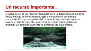 Un recurso importante..
El agua dulce es un recurso renovable pero la disponibilidad de agua
fresca limpia, no contaminada, está disminuyendo de manera
constante. En muchas partes del mundo, la demanda de agua ya
excede el abastecimiento; a medida que aumenta la población
mundial, así también aumenta la demanda de agua limpia.
 
