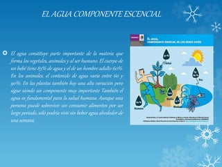 EL AGUA COMPONENTE ESCENCIAL
 El agua constituye parte importante de la materia que
forma los vegetales, animales y al ser humano. El cuerpo de
un bebé tiene 83% de agua y el de un hombre adulto 60%.
En los animales, el contenido de agua varía entre 60 y
90%. En las plantas también hay una alta variación pero
sigue siendo un componente muy importante También el
agua es fundamental para la salud humana. Aunque una
persona puede sobrevivir sin consumir alimentos por un
largo periodo, sólo podría vivir sin beber agua alrededor de
una semana.
 