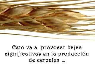 www.vitanoblepowerpoints.net
Esto va a provocar bajas
significativas en la producción
de cereales …
 