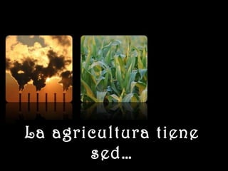 www.vitanoblepowerpoints.net
La agricultura tieneLa agricultura tiene
sed…sed…
 