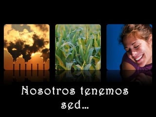 www.vitanoblepowerpoints.net
Nosotros tenemosNosotros tenemos
sed…sed…
 