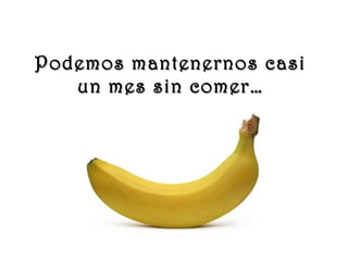 www.vitanoblepowerpoints.net
Podemos mantenernos casiPodemos mantenernos casi
un mes sin comer…un mes sin comer…
 