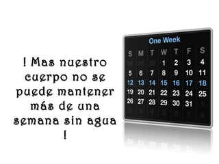 www.vitanoblepowerpoints.net
! Mas nuestro! Mas nuestro
cuerpo no secuerpo no se
puede mantenerpuede mantener
más de unamás de una
semana sin aguasemana sin agua
!!
 