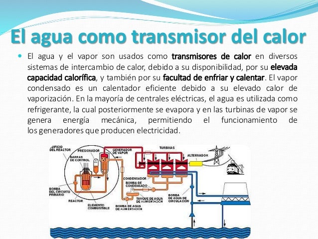 A mí del ano ha salido la lombriz