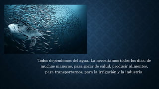 Todos dependemos del agua. La necesitamos todos los días, de
muchas maneras, para gozar de salud, producir alimentos,
para transportarnos, para la irrigación y la industria.
 