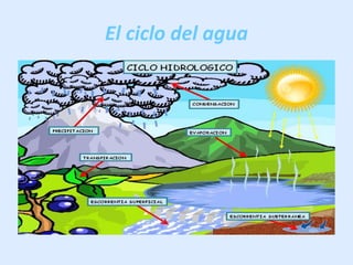 El ciclo del agua
 