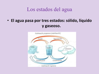 Los estados del agua
• El agua pasa por tres estados: sólido, líquido
y gaseoso.
 