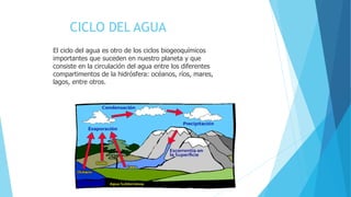 CICLO DEL AGUA
El ciclo del agua es otro de los ciclos biogeoquímicos
importantes que suceden en nuestro planeta y que
consiste en la circulación del agua entre los diferentes
compartimentos de la hidrósfera: océanos, ríos, mares,
lagos, entre otros.
 