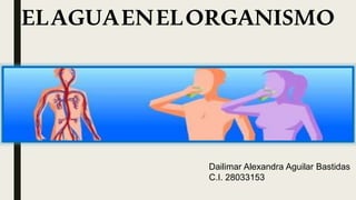 ELAGUAENELORGANISMO
Dailimar Alexandra Aguilar Bastidas
C.I. 28033153
 