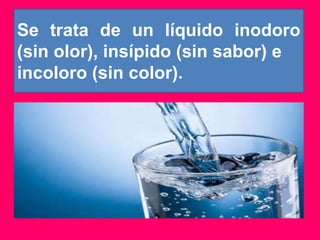 El agua | PPTX