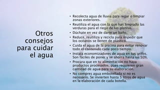 Otros
consejos
para cuidar
el agua
• Recolecta agua de lluvia para regar o limpiar
zonas exteriores.
• Reutiliza el agua con la que has limpiado las
verduras para el riego de las plantas.
• Dúchate en vez de darte un baño.
• Reduce, reutiliza y recicla para impedir que
los océanos se llenen de plástico.
• Cuida el agua de la piscina para evitar renovar
todo el contenido cada poco tiempo.
• Instala economizadores de agua en tus grifos.
Son fáciles de poner y se ahorra hasta un 50%.
• Procura que en tu alimentación no haya
productos procesados, pues requieren gran
cantidad de agua para su elaboración.
• No compres agua embotellada si no es
necesario. Se invierten hasta 5 litros de agua
en la elaboración de cada botella.
 