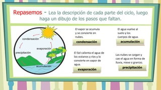 Repasemos - Lea la descripción de cada parte del ciclo, luego
haga un dibujo de los pasos que faltan.
precipitación
evaporación
condensación
acumulación
Las nubes se cargan y
cae el agua en forma de
lluvia, nieve o granizo.
El Sol calienta el agua de
los océanos y ríos y lo
convierte en vapor de
agua.
El vapor se acumula
y se convierte en
nubes.
El agua vuelve al
suelo y los
cuerpos de agua.
condensación acumulación
evaporación
precipitación
 