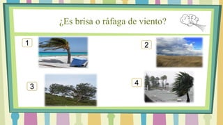 ¿Es brisa o ráfaga de viento?
1 2
3
4
 