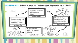 evaporación
condensación
acumulación
precipitación
El vapor se acumula y
se convierte en
nubes.
El agua vuelve al
suelo y los cuerpos
de agua.
Las nubes se cargan y cae
el agua en forma de
lluvia, nieve o granizo.
El Sol calienta el agua de
los océanos y ríos y lo
convierte en vapor de
agua.
Actividad # 2 Observa la parte del ciclo del agua, luego describe la misma.
 