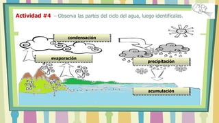 Actividad #4 – Observa las partes del ciclo del agua, luego identifícalas.
evaporación
condensación
precipitación
acumulación
 
