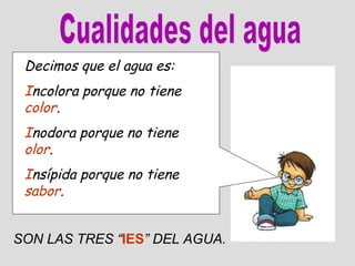 Importancia del Agua | PPT