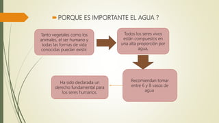 PORQUE ES IMPORTANTE EL AGUA ?
Tanto vegetales como los
animales, el ser humano y
todas las formas de vida
conocidas puedan existir.
Todos los seres vivos
están compuestos en
una alta proporción por
agua,
Recomiendan tomar
entre 6 y 8 vasos de
agua
Ha sido declarada un
derecho fundamental para
los seres humanos.
 