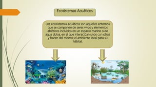 Ecosistemas Acuáticos
Los ecosistemas acuáticos son aquellos entornos
que se componen de seres vivos y elementos
abióticos incluidos en un espacio marino o de
agua dulce, en el que interactúan unos con otros
y hacen del mismo; el ambiente ideal para su
hábitat.
 