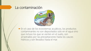 La contaminación
 En el caso de los ecosistemas acuáticos, los productos
contaminantes no son depositados solo en el agua sino
que incluso los que se vierten en el suelo, son
arrastrados por las precipitaciones hasta los cauces
hídricos y son llevados hasta el mar.
 
