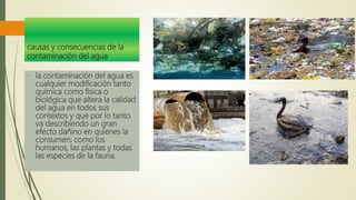 • la contaminación del agua es
cualquier modificación tanto
química como física o
biológica que altera la calidad
del agua en todos sus
contextos y que por lo tanto
va describiendo un gran
efecto dañino en quienes la
consumen; como los
humanos, las plantas y todas
las especies de la fauna.
causas y consecuencias de la
contaminación del agua
 