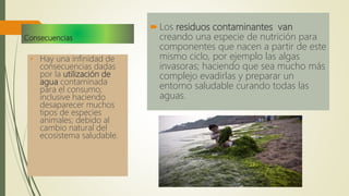 Consecuencias
 Los residuos contaminantes van
creando una especie de nutrición para
componentes que nacen a partir de este
mismo ciclo, por ejemplo las algas
invasoras; haciendo que sea mucho más
complejo evadirlas y preparar un
entorno saludable curando todas las
aguas.
• Hay una infinidad de
consecuencias dadas
por la utilización de
agua contaminada
para el consumo;
inclusive haciendo
desaparecer muchos
tipos de especies
animales; debido al
cambio natural del
ecosistema saludable.
 