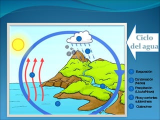 3 4 1 2 Evaporación Condensación (Nubes) Precipitación (Lluvia/Nieve) Ríos y corrientes subterráneas 5 Océano/mar 2 1 5 3 4 
