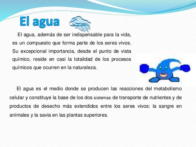El agua, aire, suelo y su relación con los seres vivos