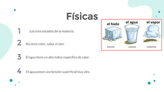 Físicas
1 Los tres estados de la materia.
No tiene color, sabor ni olor.2
3
4
El agua tiene un alto índice específico de calor.
El agua posee una tensión superficial muy alta.