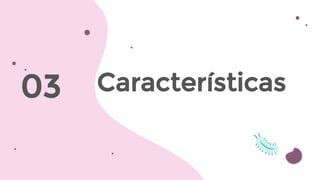 03 Características